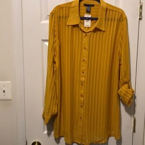 Sheer gold blouse long sleeve or quarter length